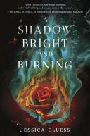 A Shadow Bright and Burning