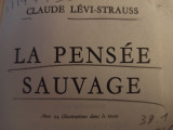 La pensée sauvage