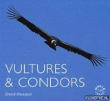 Vultures & Condors