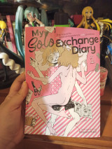My solo exchange diary