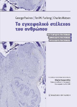 Το εγκεφαλικό στέλεχος του ανθρώπου: Κυτταροαρχιτεκτονική, Χημειοαρχιτεκτονική, Μυελοαρχιτεκτονική