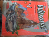 The Wilsons 1 student's book
