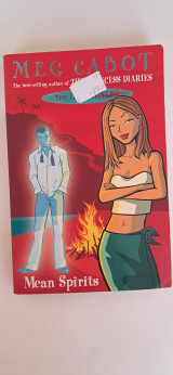 The mediator 3mean spirit