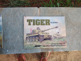 Tiger in Action