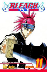 Bleach, Vol. 11 v. 11