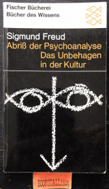 Abriss der Psychoanalyse