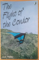 The Flight of the Condor