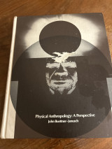 Physical anthropology a perspective