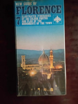 New guide of florence text giovanni casetta becocci