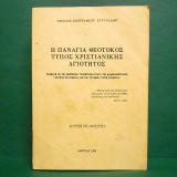 Η Παναγία Θεοτόκος, Τύπος Χριστιανικής Αγιότητος