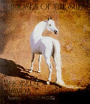 Horses of the Sun