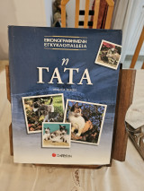 Η Γάτα