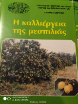 H καλλιέργεια της μεσπιλίας