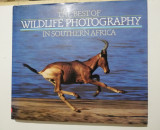 The best of Wildlife photography in Southern Africa