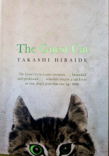 The guest cat