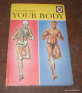 Your Body