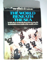 The world beneath the sea