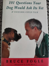 101 Questions Your Dog Would Ask Its Vet (if Your Dog Could Talk)