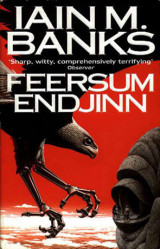 Feersum Endjinn