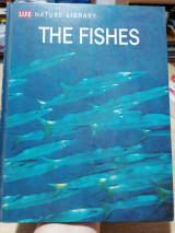 The fishes