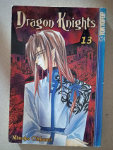 Dragon Knights Volume 13