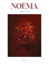 Noema