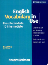 English Vocabulary in Use Pre-intermediate and Intermediate