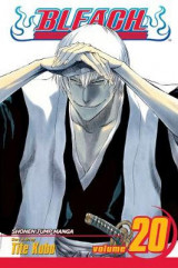 Bleach, Vol. 20 v. 20
