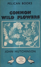 Common Wild Flowers : John Hutchinson