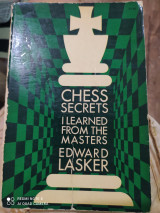 Chess Secrets I Learned from the Masters