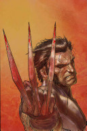 Wolverine Weapon X - Volume 1