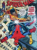 The amazing Spiderman Vol.1 , No 123 , August 1973