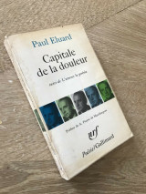 Capitale de la douleur