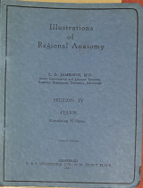 Illustrations of Regional Anatomy - Pelvis