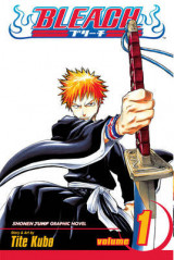 Bleach, Vol. 1 v. 1