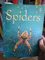 Spiders