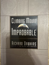 Climbing mount improbable
