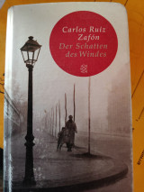 Der Schatten des Windes