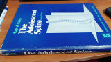 The adolescent spine