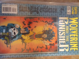 Wolverine and the punisher