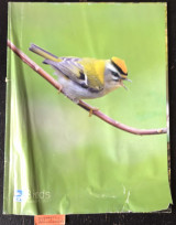 Birds Volume 24 No 5. Surprize on your doorstep garden birds.Weather watch and lifetime memories