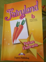 Picture Flashcards