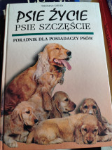Psie życie - psie szczęście