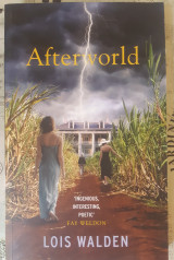 Afterworld