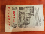 Ελεύθερη κυθραία (τεύχος 15, 1982)
