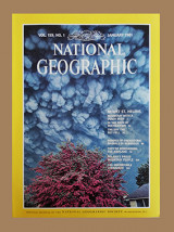 National Geografic January 1981