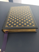Madame Bovary