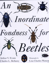 An Inordinate Fondness for Beetles