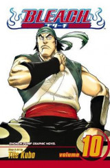 Bleach, Vol. 10 v. 10