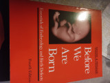 Before we are born